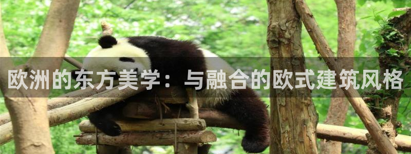 新航娱乐公司
