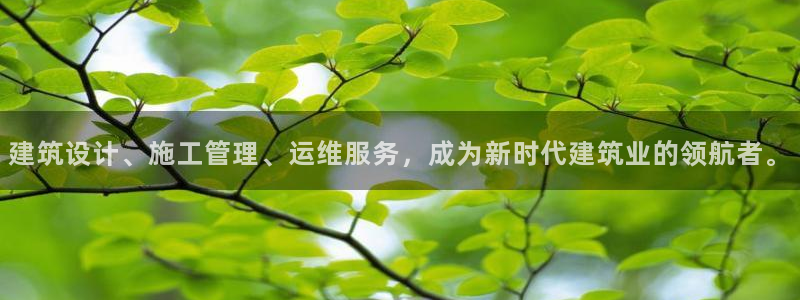 新航娱乐被投诉的原因