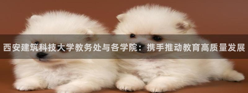 新航娱乐登录注册：西安建筑科技大学教务处与各学院：携手推动教育高质量发展