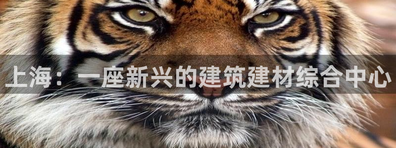 新航娱乐传媒招聘信息：上海：一座新兴的建筑建材综合中心