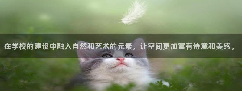 新航娱乐合法吗：在学校的建设中融入自然和艺术的元素，让空间更加富有诗意和美感。