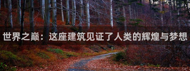 娱乐新航母