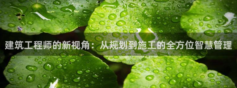 新航娱乐公司招聘信息