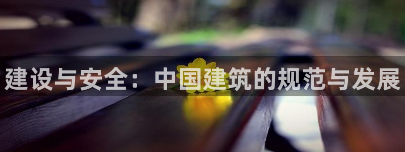 新航娱乐公司怎么样啊