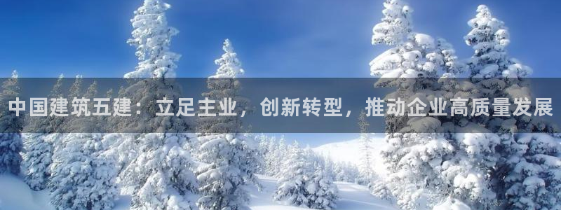 武汉中创新航娱乐室