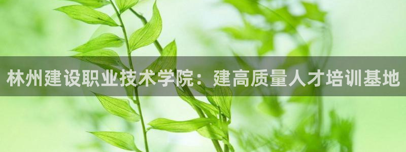 新航娱乐最新开户信息